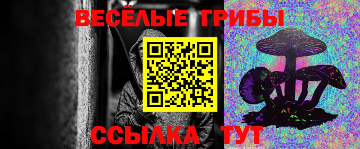 Галлюциногенные грибы MAGIC MUSHROOMS Шали