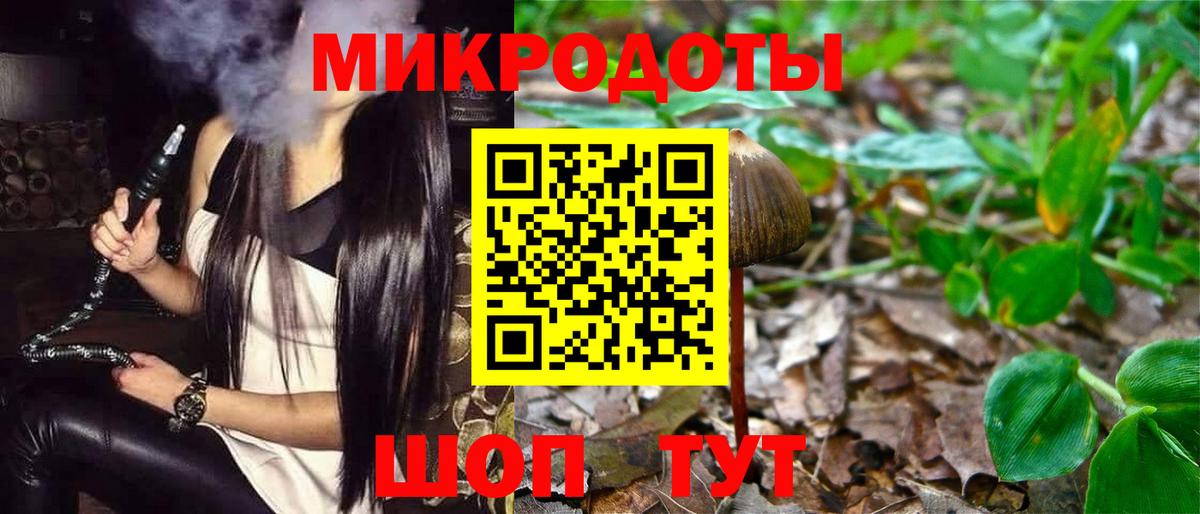 Галлюциногенные грибы ЛСД  Псилоцибиновые грибы GOLDEN TEACHER  Шали  купить закладку  Вход с VPN 